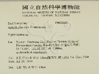 絲皮菌屬藏品圖，第2張