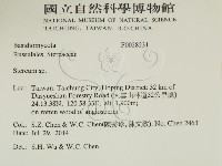 韌革菌屬藏品圖，第2張