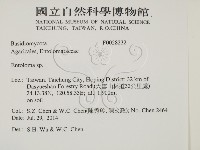 粉褶菌屬藏品圖，第2張