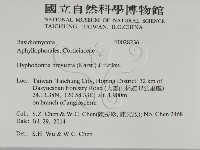 登錄號:F0028236藏品圖，第2張