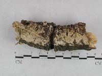 登錄號:F0028236藏品圖，第3張