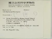 登錄號:F0028237藏品圖，第2張