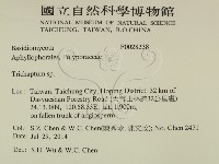 附毛菌屬藏品圖，第2張