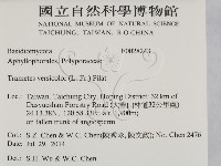 雲芝藏品圖，第2張