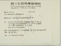 登錄號:F0028244藏品圖，第2張