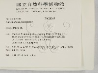 刺皮菌屬藏品圖，第2張