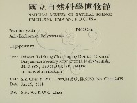 寡孔菌屬藏品圖，第2張