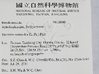 雲芝藏品圖，第2張