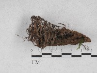 登錄號:F0028251藏品圖，第3張