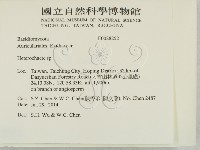 刺皮菌屬藏品圖，第2張