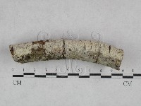 登錄號:F0028253藏品圖，第3張
