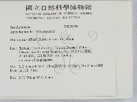 相鄰小孔菌藏品圖，第2張