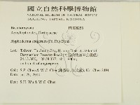 剛毛絲皮菌藏品圖，第2張