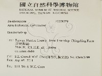 登錄號:F0028259藏品圖，第2張