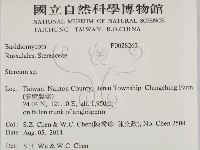 韌革菌屬藏品圖，第2張