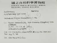 登錄號:F0028264藏品圖，第2張