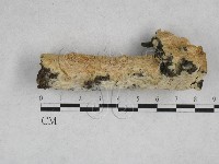 登錄號:F0028264藏品圖，第1張