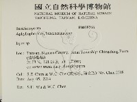 耙菌屬藏品圖，第2張