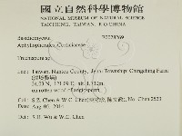 登錄號:F0028269藏品圖，第2張