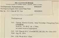 登錄號:F0028269藏品圖，第3張
