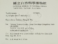 登錄號:F0028271藏品圖，第2張