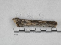 登錄號:F0028271藏品圖，第1張