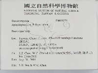 多年臥孔菌屬藏品圖，第2張