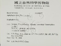 登錄號:F0028277藏品圖，第2張