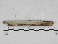 登錄號:F0028277藏品圖，第1張