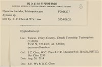 登錄號:F0028277藏品圖，第3張