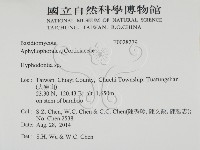 登錄號:F0028279藏品圖，第2張