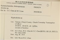 登錄號:F0028279藏品圖，第3張