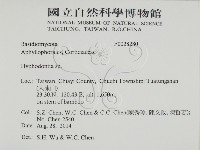 登錄號:F0028280藏品圖，第2張