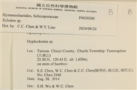 登錄號:F0028280藏品圖，第3張