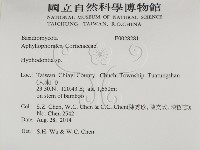 館號:F0028281藏品圖，第2張