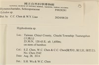 館號:F0028281藏品圖，第3張