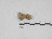 登錄號:F0028284藏品圖，第1張