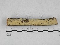 登錄號:F0028285藏品圖，第1張