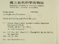 登錄號:F0028286藏品圖，第2張