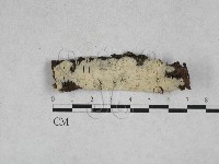 登錄號:F0028286藏品圖，第1張