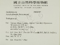附毛菌屬藏品圖，第2張