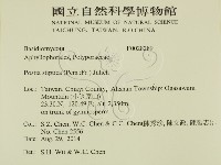登錄號:F0028289藏品圖，第2張
