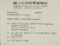 登錄號:F0028290藏品圖，第2張