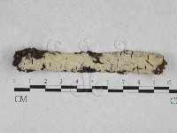 登錄號:F0028290藏品圖，第1張