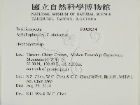 絲皮菌屬藏品圖，第2張