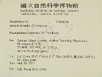 登錄號:F0028296藏品圖，第2張