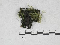 登錄號:F0028297藏品圖，第3張