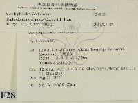 登錄號:F0028298藏品圖，第1張