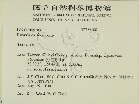 韌革菌屬藏品圖，第2張