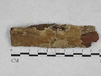 登錄號:F0028301藏品圖，第1張